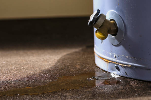 Best 24-hour water damage restoration  in Bodfish, CA