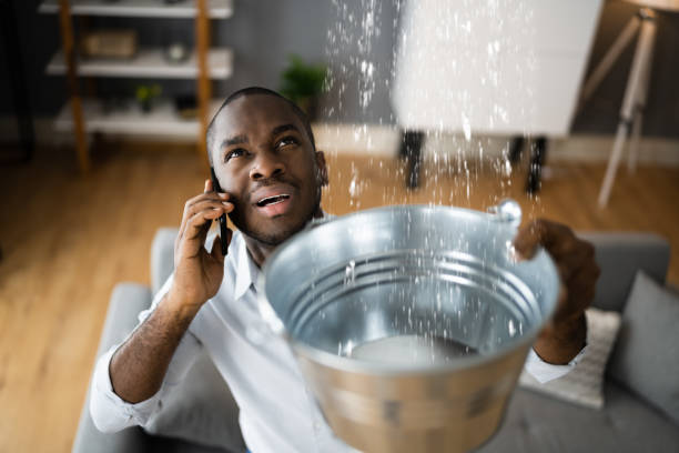 Best Professional water damage repair  in Bodfish, CA