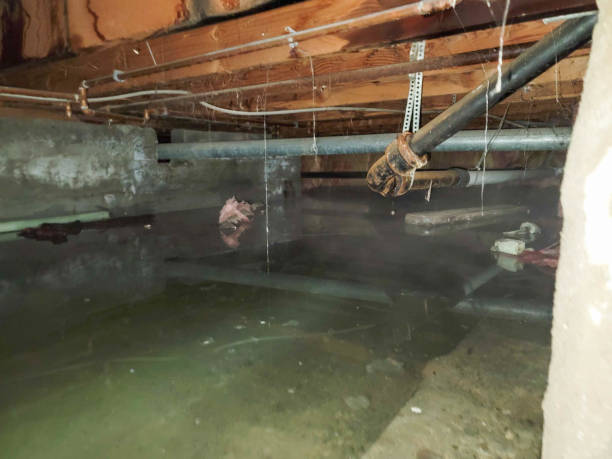 Best 24/7 water damage repair  in Bodfish, CA