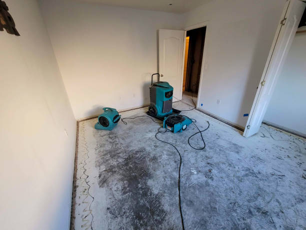 Best Water damage contractors near me  in Bodfish, CA