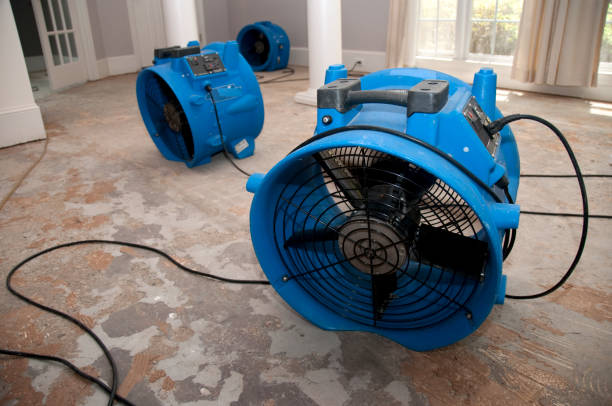 Best Sewage cleanup and water damage restoration  in Bodfish, CA