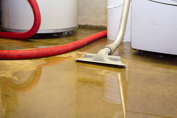 Best Water damage cleanup near me  in Bodfish, CA