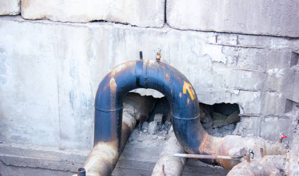 Best Flood restoration services  in Bodfish, CA