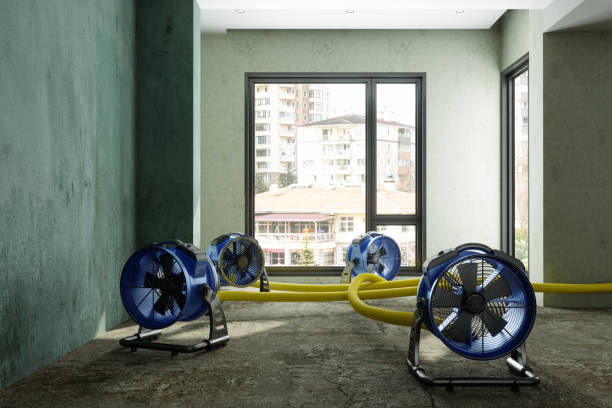 Best Water damage restoration near me  in Bodfish, CA